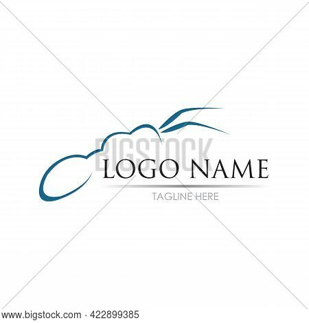 Ant Logo Template Vector Illustration Design