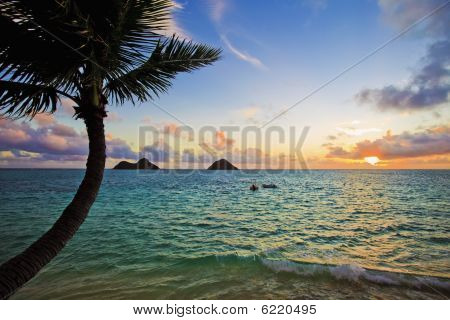 Pacífico nascer do sol no Havaí lanikai