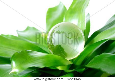 Green Globe