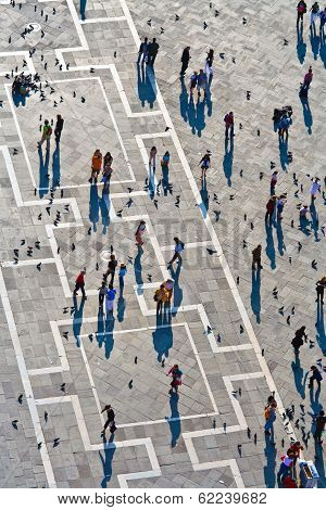 Tourists On San Marco Square Feed Large Flock Of Pigeons
