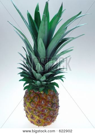 Formschöne Ananas