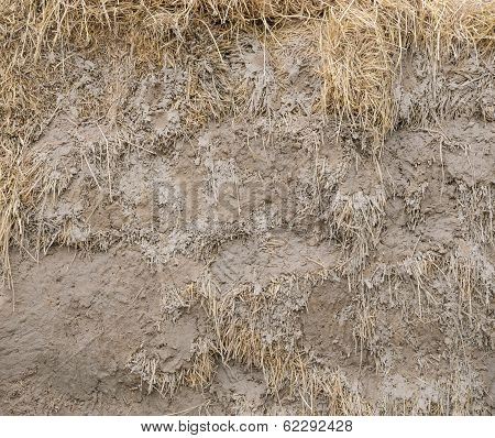 Clay With Straw Wall