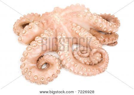 Krake