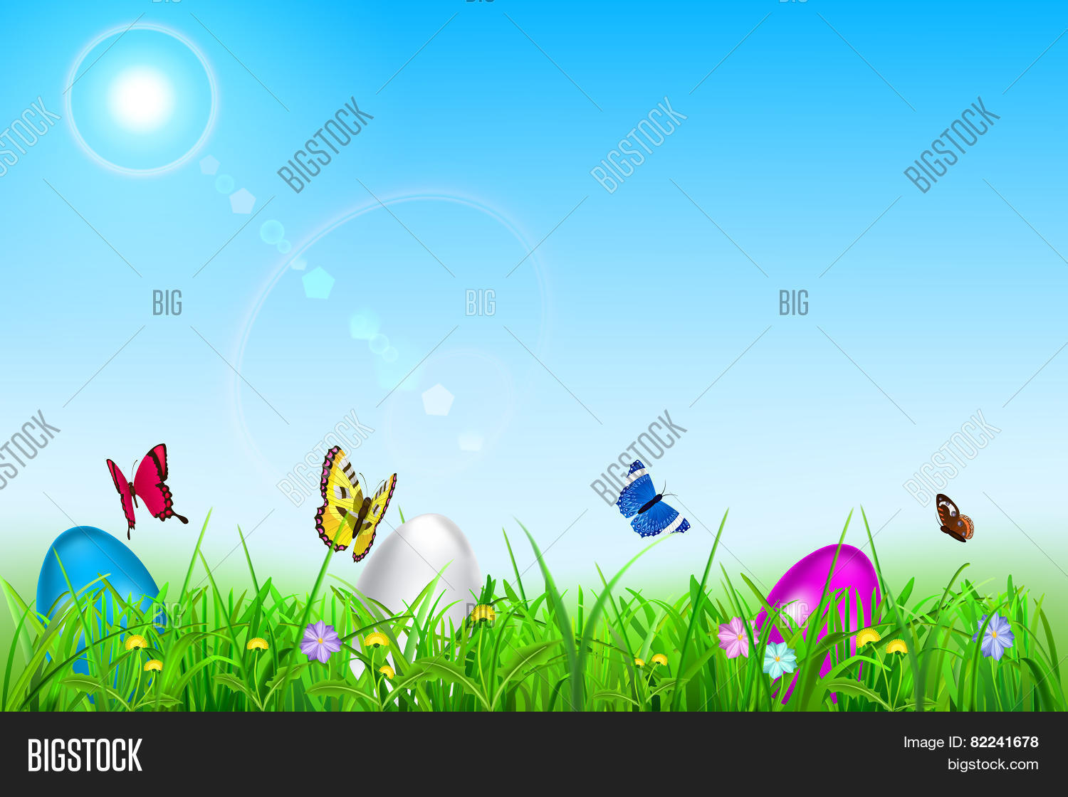 Image Preview