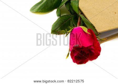 Red roses with book