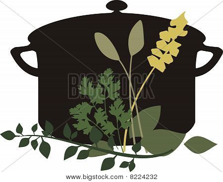 蒸煮锅混合草药欧芹百里香鼠尾草罗勒