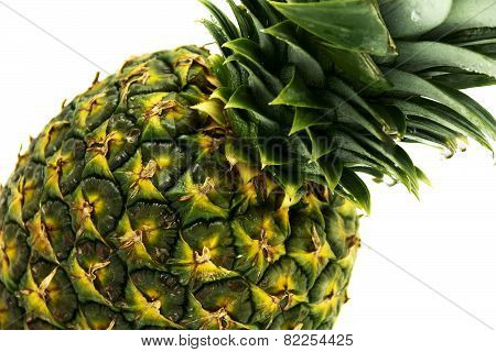 Pineapple With Green Leaves