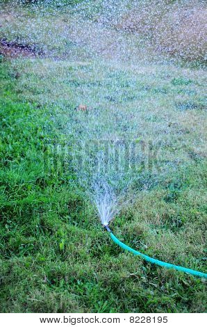 Sprinkler vanding græs værftet