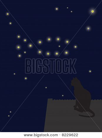 cat1
