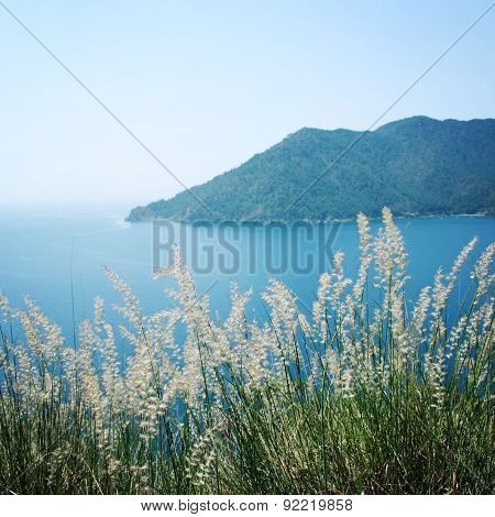 View Of Adrasan Bay. Dry Feather Grass And Sea - Vintage Photo.