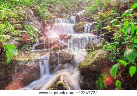Torrent