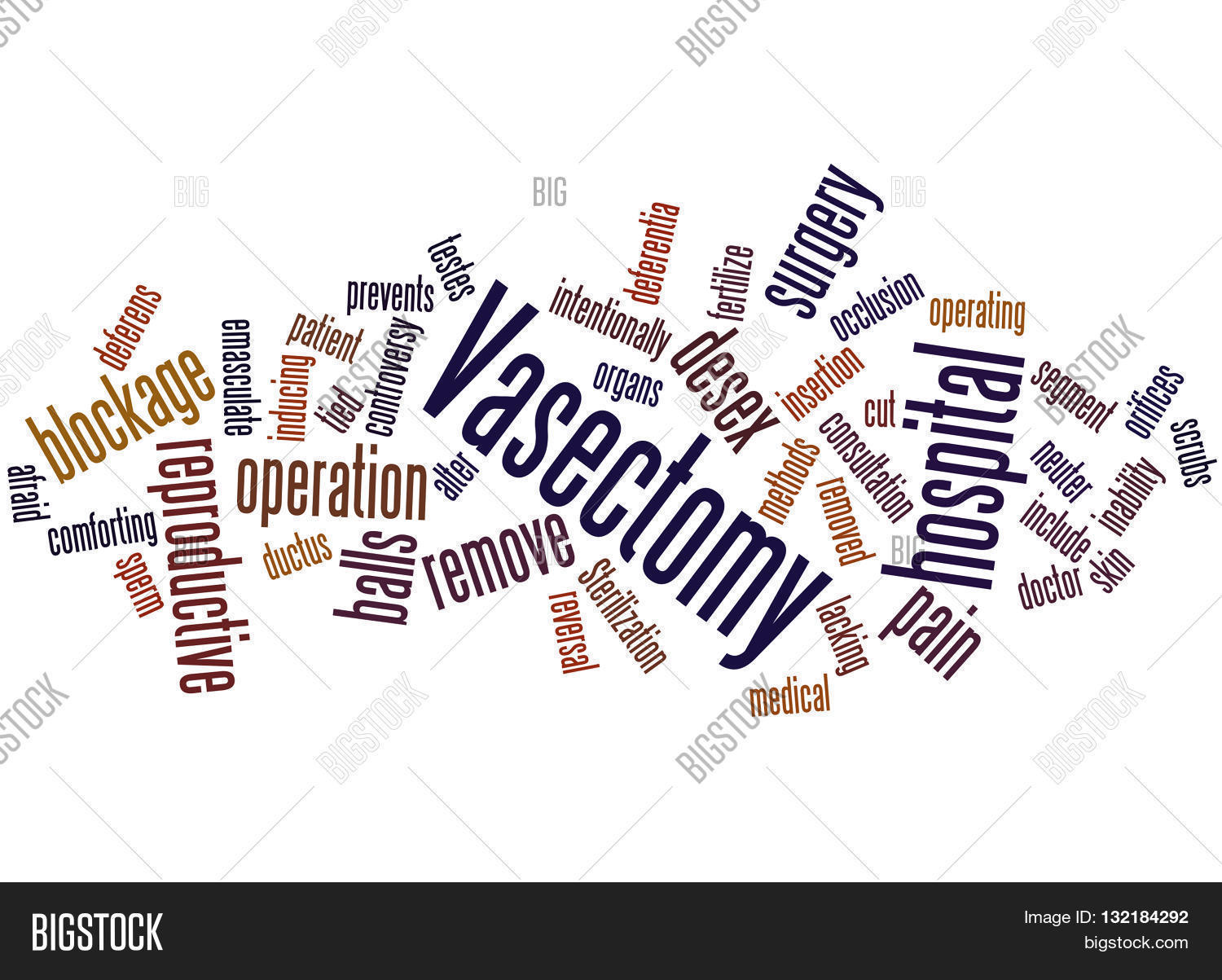 Vasectomy, Word Cloud Image & Photo (Free Trial) Bigstock