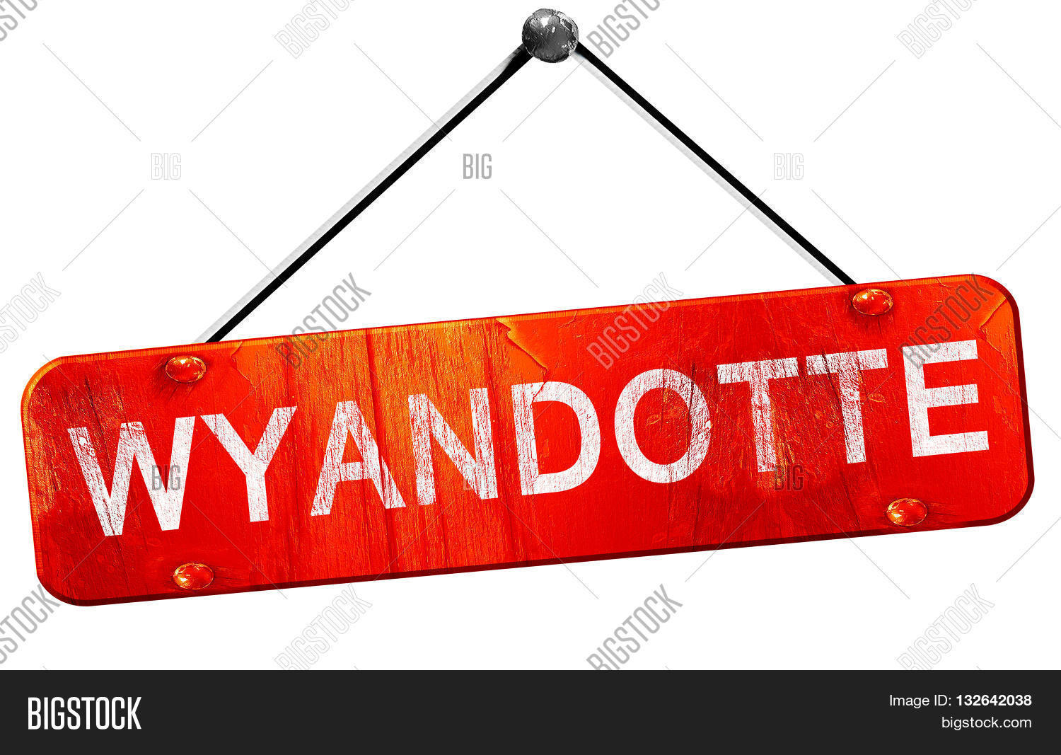 Wyandotte, 3D Image & Photo (Free Trial) Bigstock