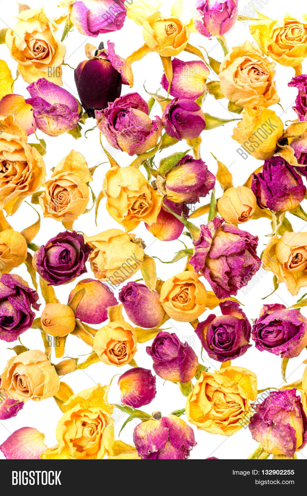 Beautiful Dried Yellow Image & Photo (Free Trial) | Bigstock