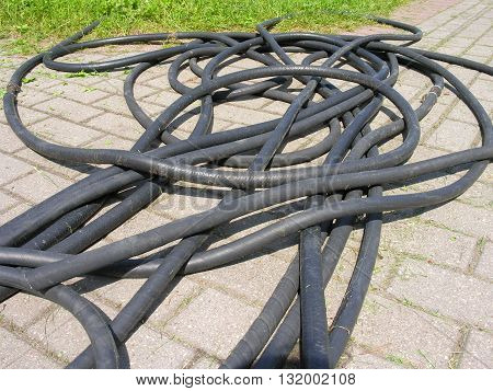 For watering the lawn in the botanic garden hose deployed