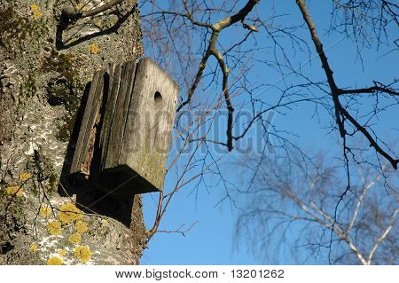 Tom Birdnest