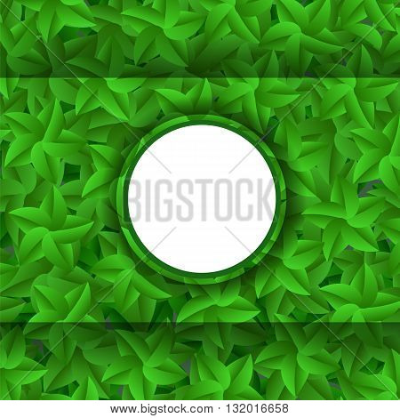 Green Leaves Pattern. Evergreen Hedgegrow. Summer Leaves Background