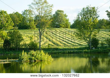beautiful lake landscape in sothern Sweden, springtime