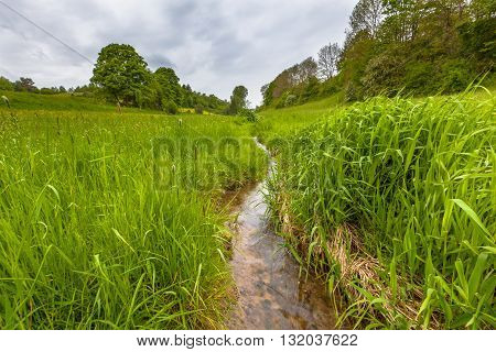 Small Creek In Lampertsbachtal Near Alendorf
