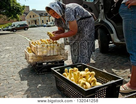 Lutsk, Ukraine - June 8, 2011: Woman sells ducklings from boxes on the ground on farmers market in Lutsk. Small-scale family farms are widespread in Ukraine.