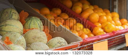 basket of fresh fruit rockmelons or cantaloup and oranges and clementine for sale