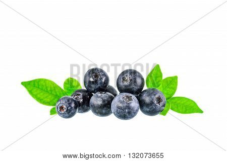 Blueberry on white background with clipping path
