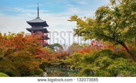 Toji Temple in Kyoto Japan in autumn