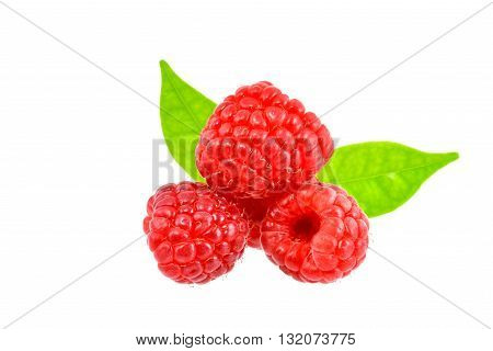 Red berry on white background with clipping path