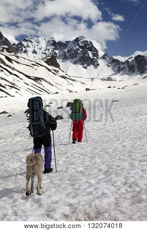 Dog and two hikers in snowy mountains. Turkey Kachkar Mountains (highest part of Pontic Mountains).
