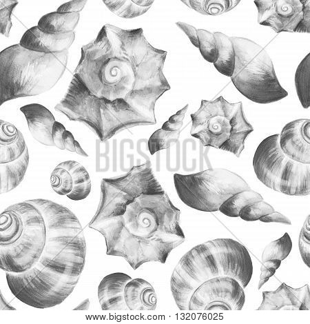 Seashells. Black and white watercolor background. Seamless pattern 2