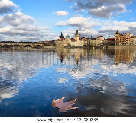 Autumn maple leaf on the Vltava River in Prague