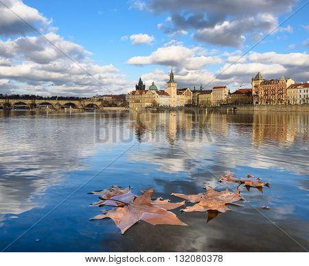 Autumn maple leaf on the Vltava River in Prague