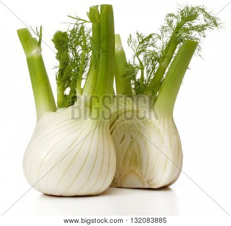 Fresh fennel bulb isolated on white background close up