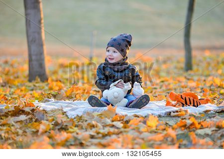 Cheerful baby sitting in the park in autumn. Kid playing on the grass in the fall. Children play in the park on the grass. Little boy sitting on the grass.