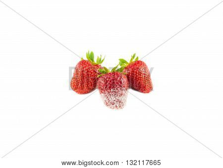 Three Strawberries In Sugar