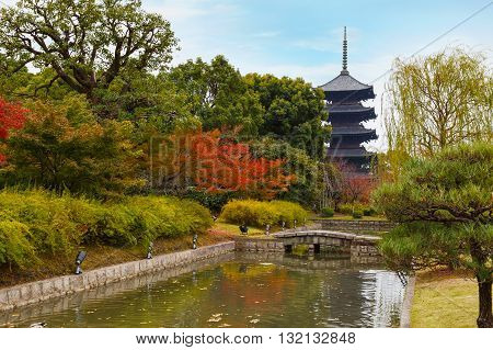 Autumn at Toji Temple in Kyoto Japan