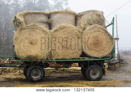 Bales of straw on a trailer standingon the road in fog.