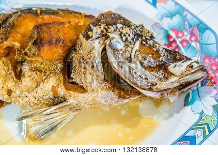 Fried white snapper with fish sauceThai food