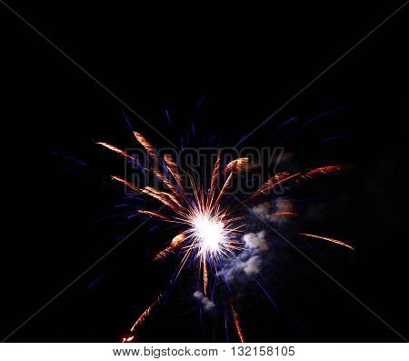 Celebration firework in the black night sky