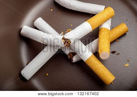 Quit Smoking - Broken Unsmoked Cigarettes In A White Ashtray With Faded Blueish Filter