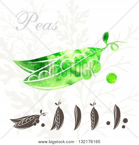 Peas icons set.. Vegetables icon with watercolor texture
