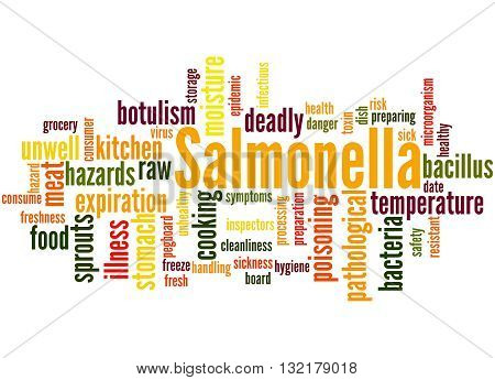Salmonella, Word Cloud Concept 2