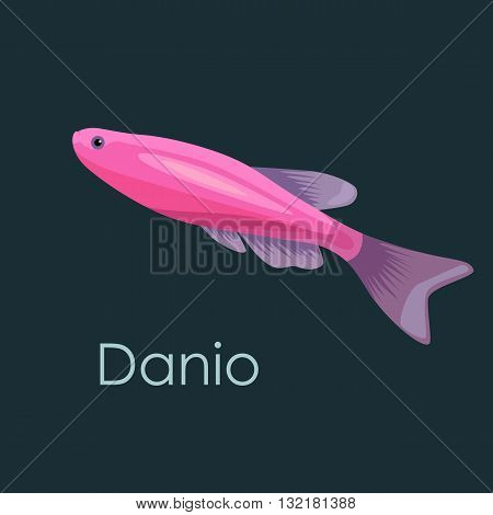Aquarium fish Danio, vector illustration isolated on dark background. Fish flat style vector illustration.