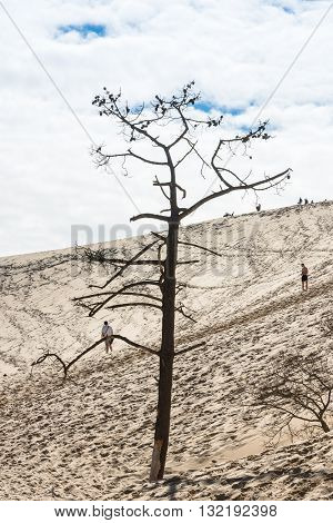 People Visiting The Highest Sand Dune Of Pyla In Europe
