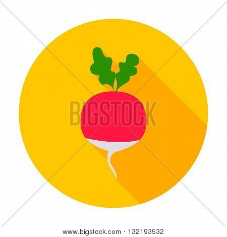 Radish Flat Circle Icon