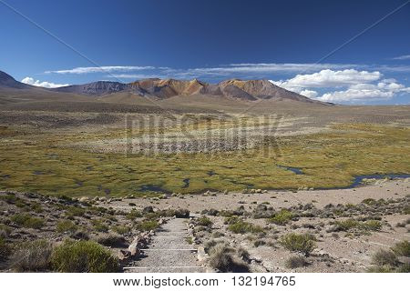 The altiplano, around 4000 metres above sea level, in Lauca National Park, Chile. In the foreground is a wetland area known locally as a bofedal, beyond are the colourful slopes of an extinct volcano.