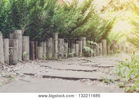 Beautiful landscape design, garden path tiles closeup with wooden log fence from roundwood, evergreen bushes and shrubs in sunlight. Modern landscaping. Summer garden or park design.