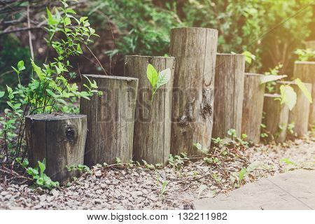 Beautiful landscape design, garden path tiles closeup with wooden log fence from roundwood, evergreen bushes and shrubs in sunlight. Modern landscaping. Summer garden or park design.