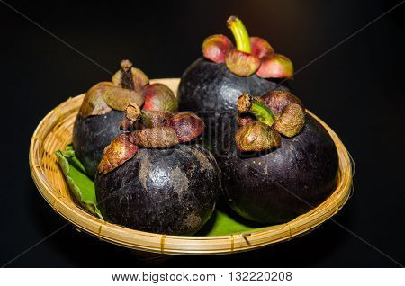 Mangosteen (Garcinia mangostana Linn) have purple skin and white flesh is most popular and has been dubbed the Queen of Fruits. Delicious mangosteen fruit arranged on a basket Mangosteen flesh is fruit seasonal of Thailand.