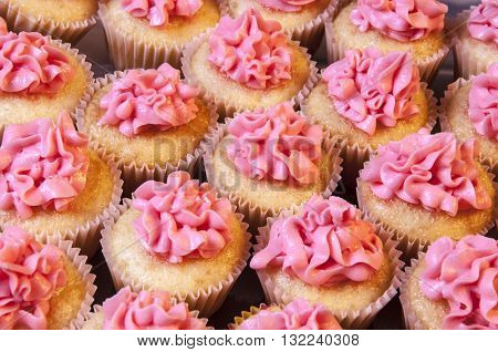 Delicious homemade cupcakes with piping of pink frosting icing on top